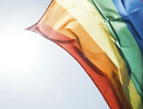 Junho: Mês de luta e representatividade LGBTQIAPN+