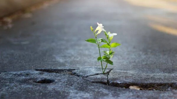 Significado e propósito na vida: como encontrar sentido